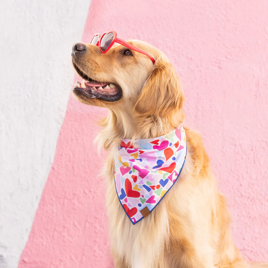 Heart To Heart Dog Bandana - Sir Dogwood